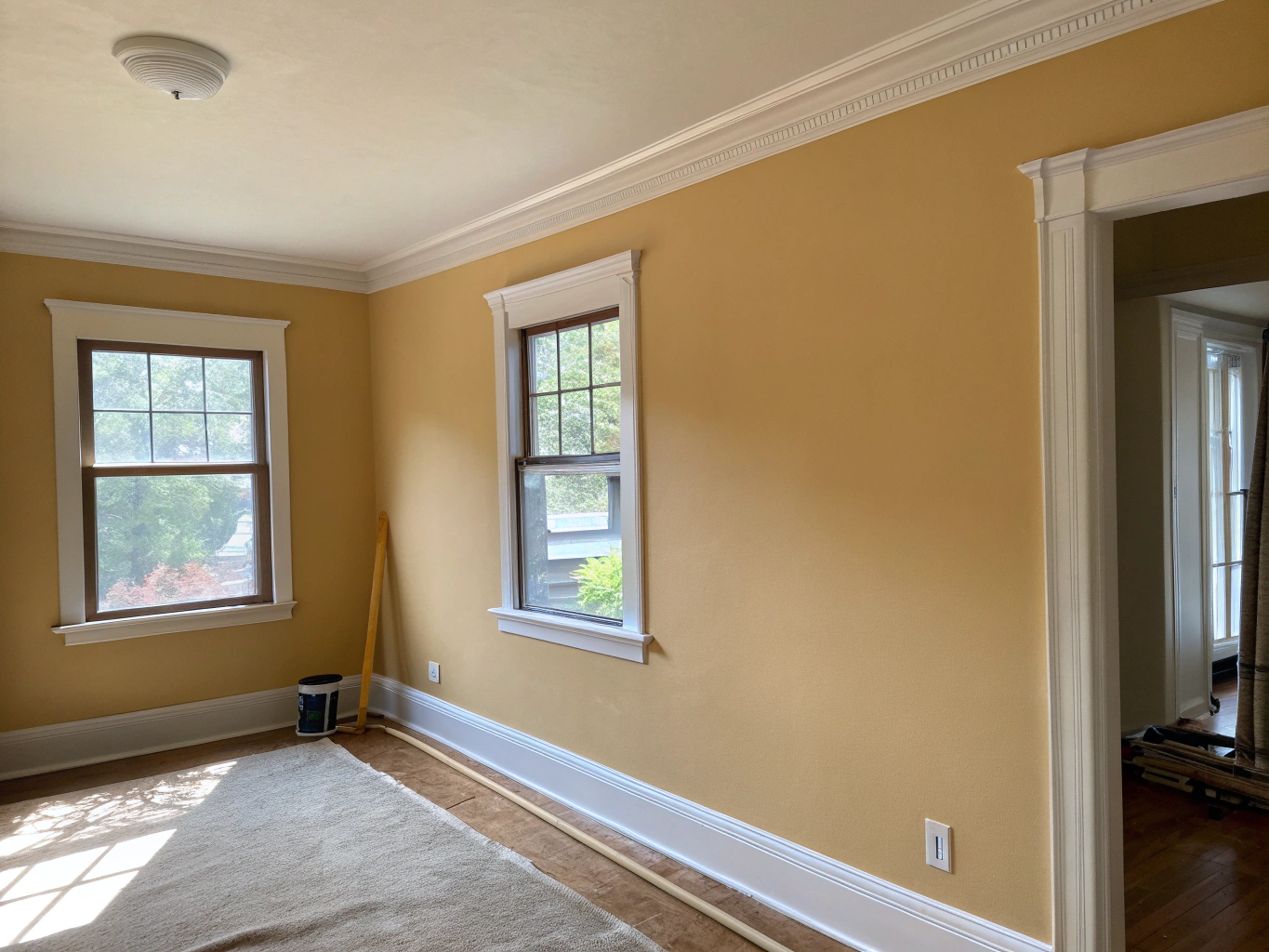 Freshly painted living room walls and white baseboards